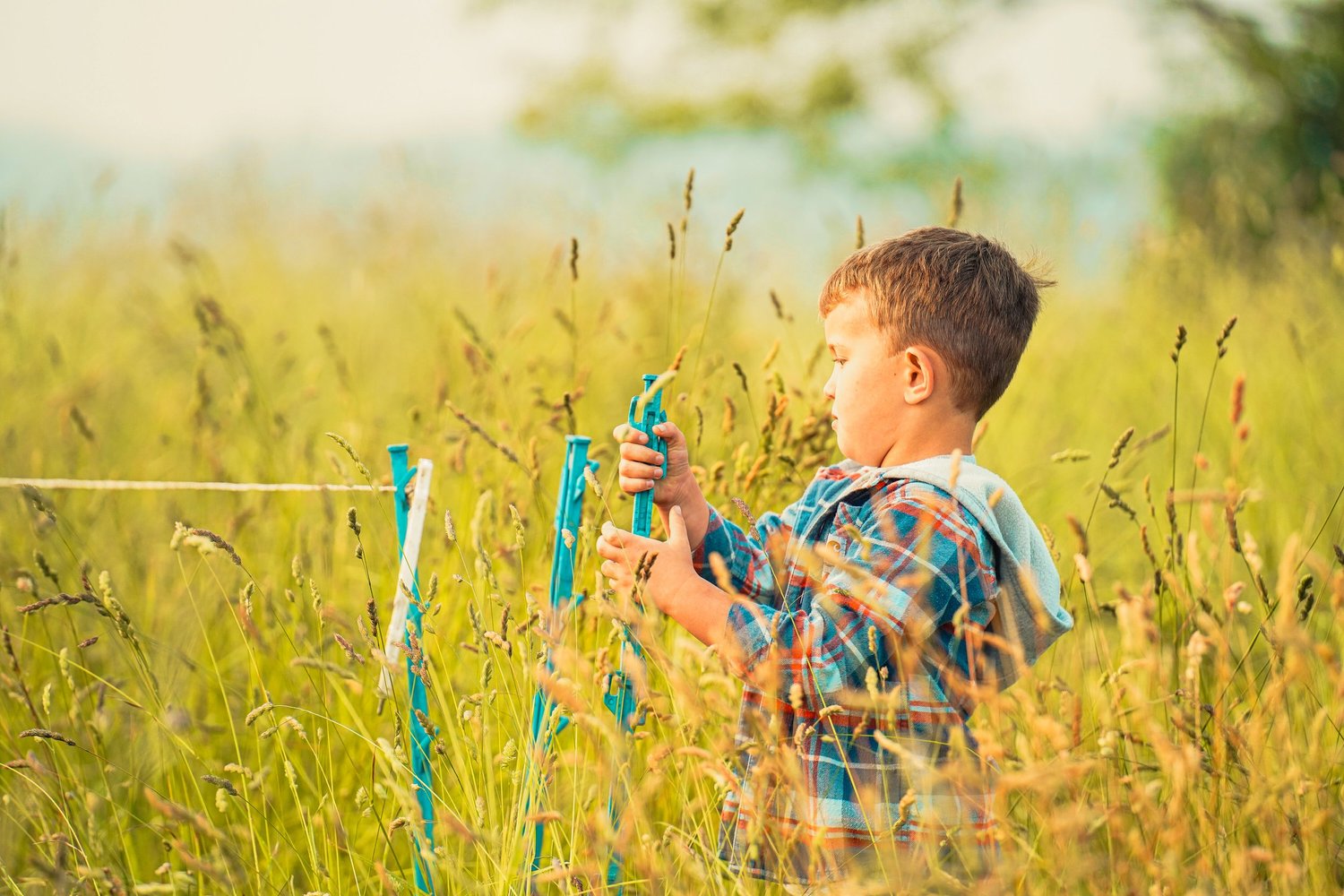 Young boy in a plaid shirt holding a blue tool while standing in a grassy field, engaging with nature and learning about outdoor activities.